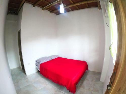 Albergue Iguana Beach House