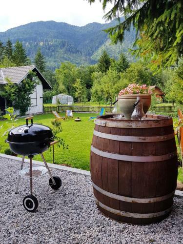 Apartments Mojstrana - Kekec