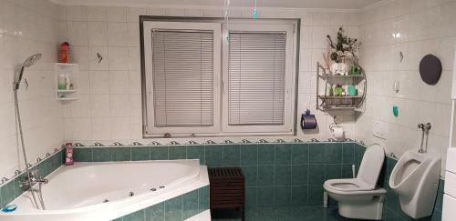 Zaj?ek Apartma With Sauna