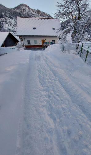 Apartma Stenar