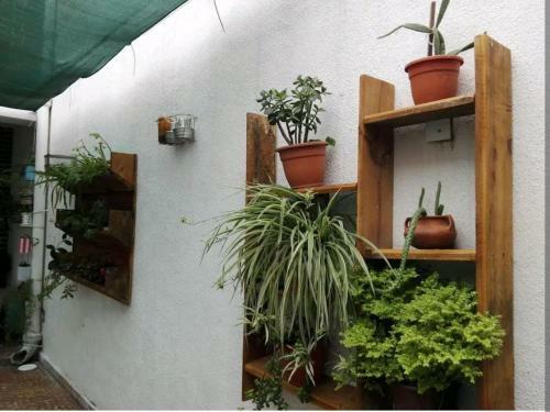 Acogedora Habitacion Priv Con Ba�o En Hostel