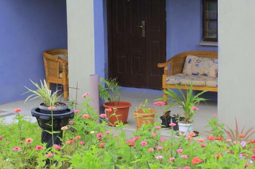 Bed & Breakfast The Rock Guest House