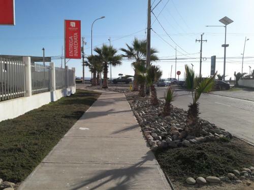 Apartamento Excelente Departamento En Primera Linea