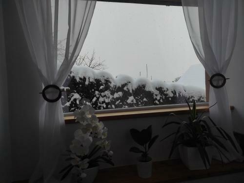 Apartm�n Vladim�r