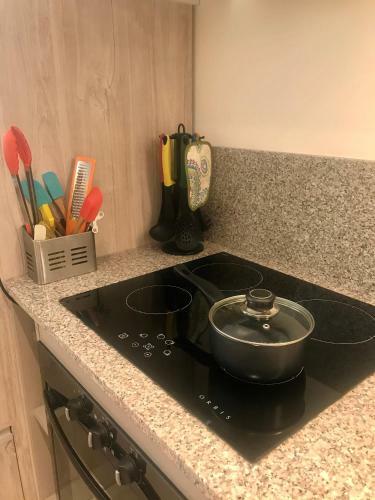 Apartamento Aliwen Rauli