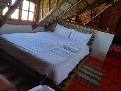 Mokolodi Country House
