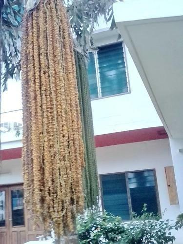 Hotel Villa Ekabo