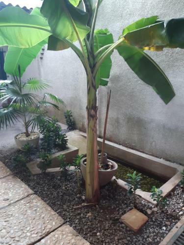 Apartamento Maison D'h�te Cathy & Johann