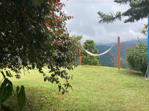 Finca La Ligia