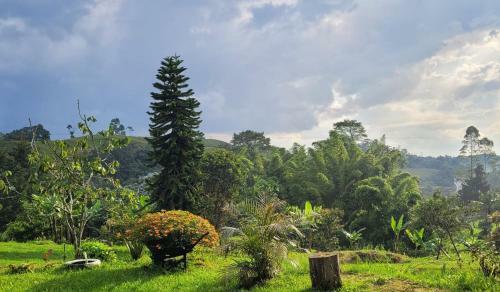 Lodge Caba�a El Encuentro