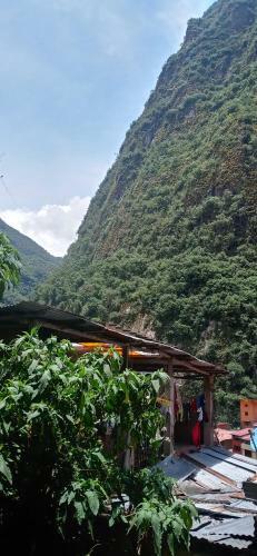 Bed & Breakfast Eco Art Best Mountain View Hostel