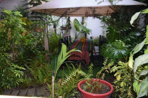 Bed & Breakfast Quilla House Ecologico