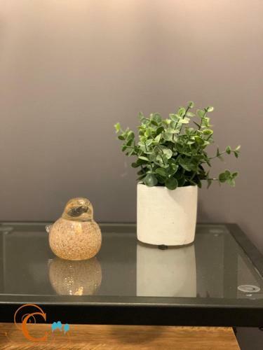 Apartamento Casa De Aves