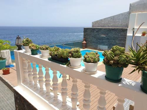 Hostal Cactus Guest House