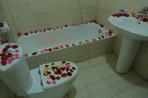 Hostal Avi Pension