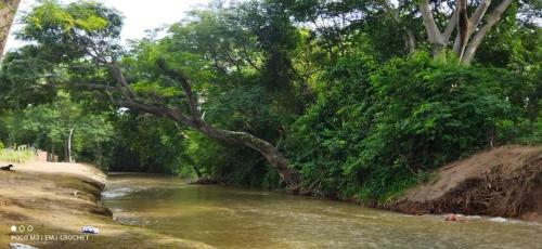 Moderna Casa Campo Con R�o