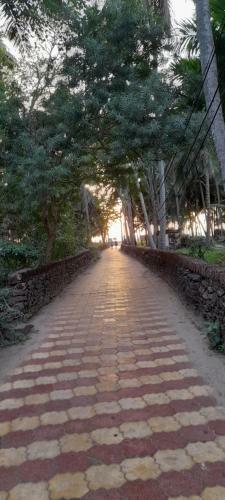 The Woods Beach Homestay