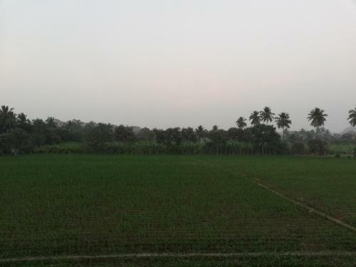 Abhi Homestay Hampi