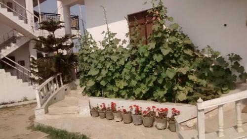 Hostal Lime-villa On Ganga Ghat
