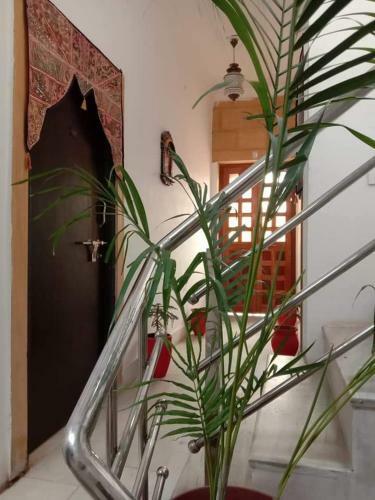 Resting Love Hostel