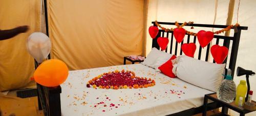 Incredible Desert Camp & Safari