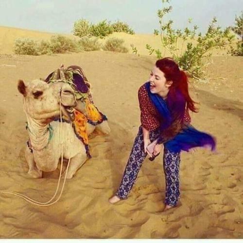 Hotel Mehar Desert Resort