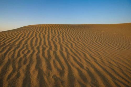 Apartamento Tiger Desert