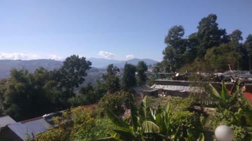 Odyssey's Misty Woods Homestay