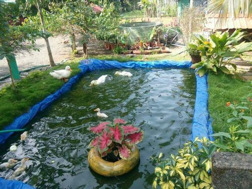 Villa Dewdrops Farm Stay