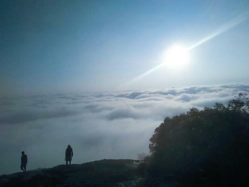 Wayanad Backpackers Camping