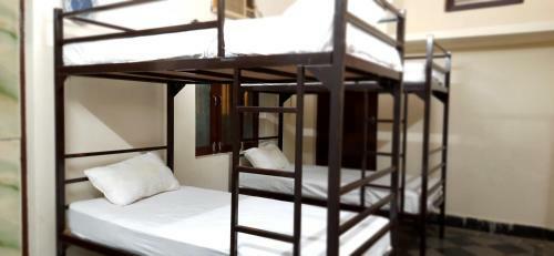 Albergue Hyderabad Days
