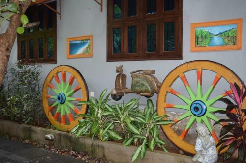 Hotel Brown Town Resort & Spa