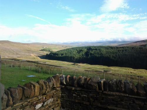 Hill Top Cottage - Killhope