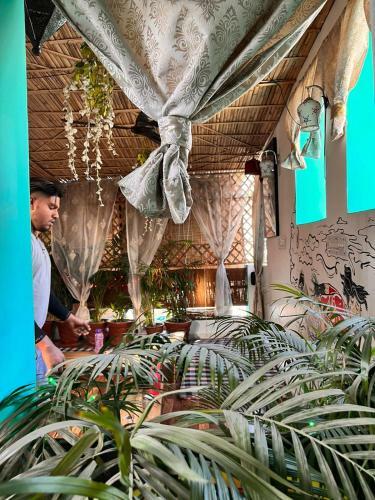 Pachamama Hostel