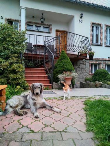 Apartamento Agroturystyka Natalia