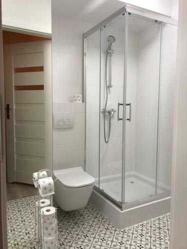 "10" S?o?ce Woda Las - Apartament No10 Gara? W Cenie