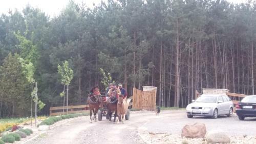 Agroturismo Baba Jagna