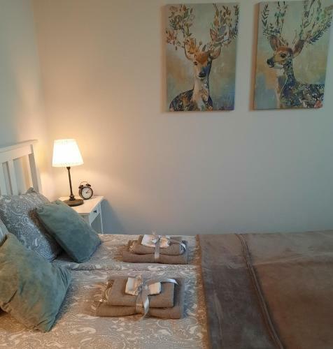Apartamenty Bydgostia