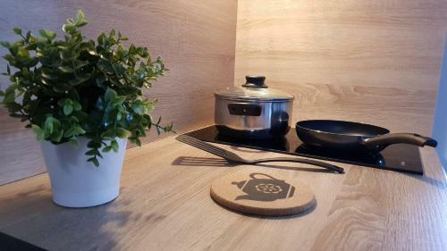 Apartament Przy Onkologii