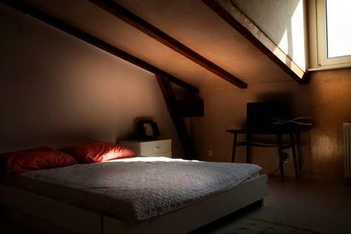 Caly Apartament