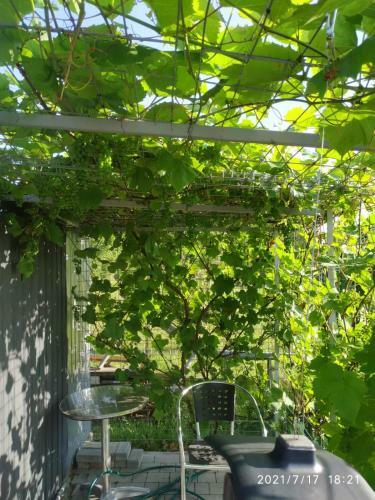 Apartament Nad Morzem Kierzkowo