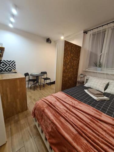 Apartament Wile?ska