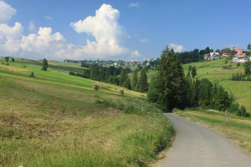 Noclegi Bukowina Centrum