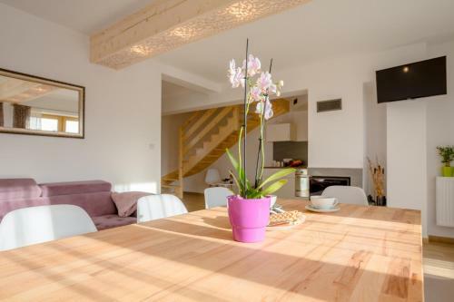 Tybet Domki I Apartamenty