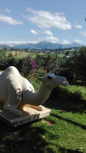 Agrotatry U Stachy