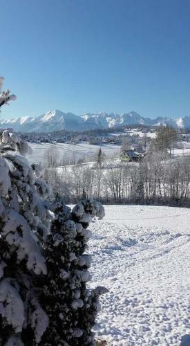 Agrotatry U Stachy