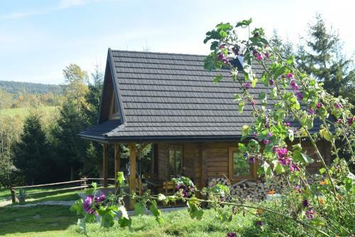 Agroturismo Apartamenty Pod Werchowyn?