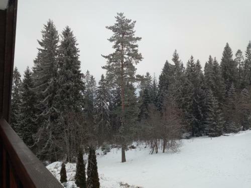 Nad Lasem