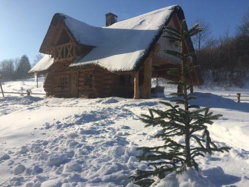 Domek Szyj�wka