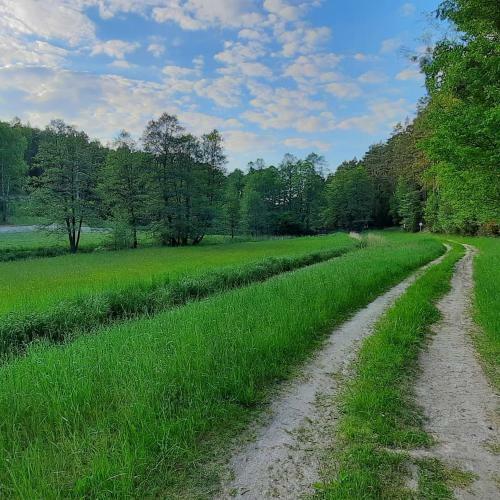 Lodge Hubert�wka Czapiewice